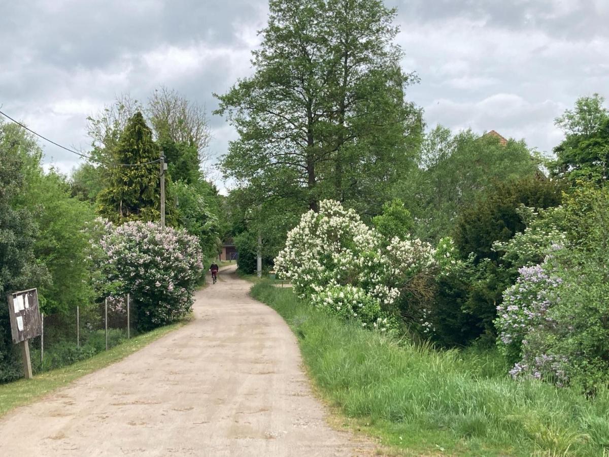 Ferienwohnung Im Gutshaus Alt Krassow Inmitten Der Natur Lalendorf Εξωτερικό φωτογραφία