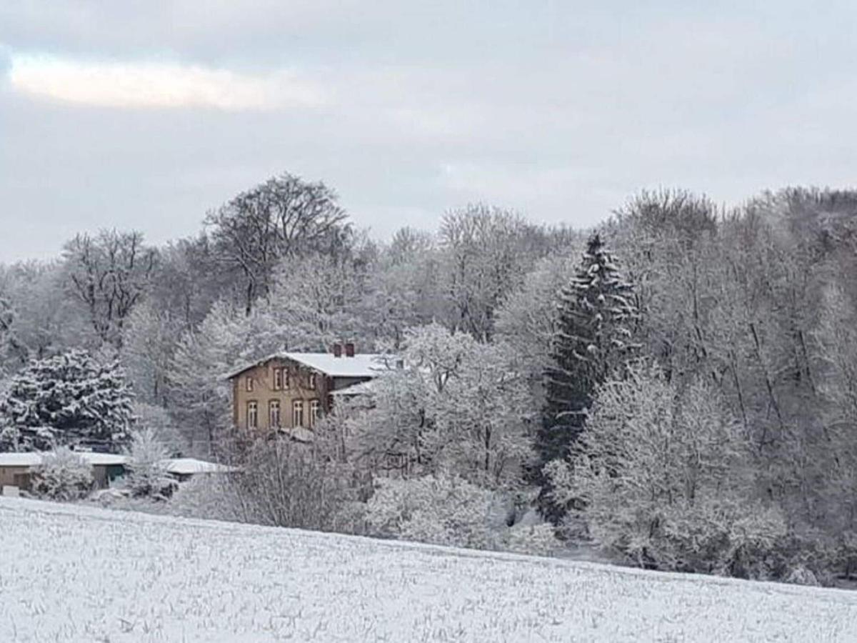 Ferienwohnung Im Gutshaus Alt Krassow Inmitten Der Natur Lalendorf Εξωτερικό φωτογραφία