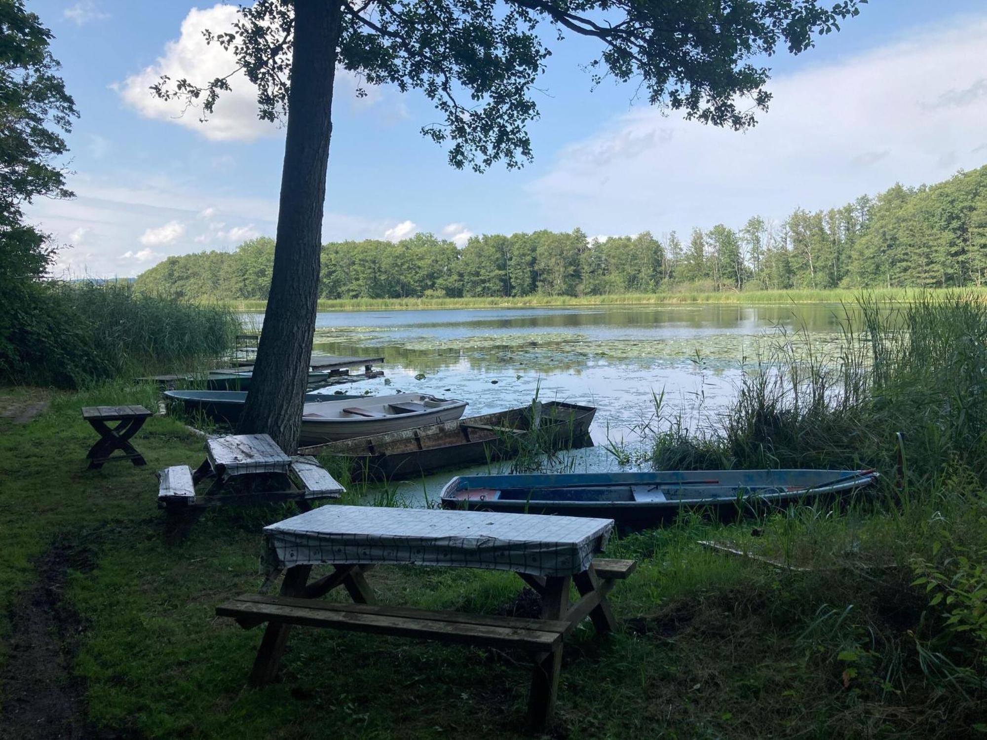 Ferienwohnung Im Gutshaus Alt Krassow Inmitten Der Natur Lalendorf Εξωτερικό φωτογραφία