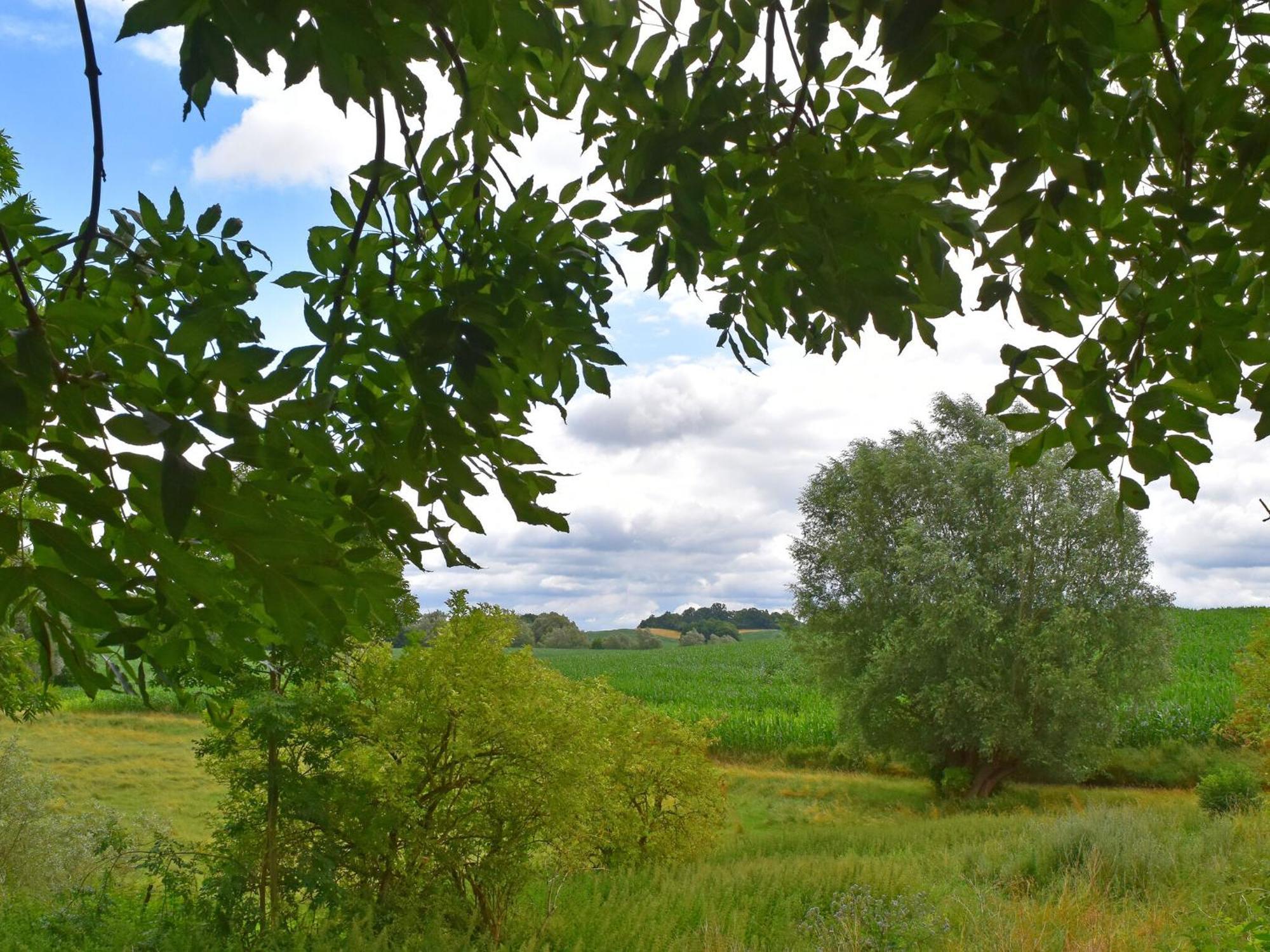 Ferienwohnung Im Gutshaus Alt Krassow Inmitten Der Natur Lalendorf Εξωτερικό φωτογραφία